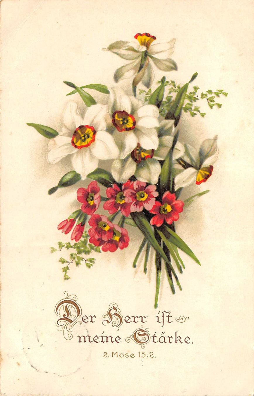 Cartoline postali: Bibelspruch, verschiedene Blumen – Usato da Ottikon b.Kemptth. venduto da Neptun1974