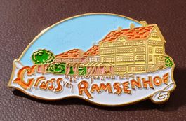 R693 - Pin Gruss vom Ramsenhof Herisau  Nr. 467