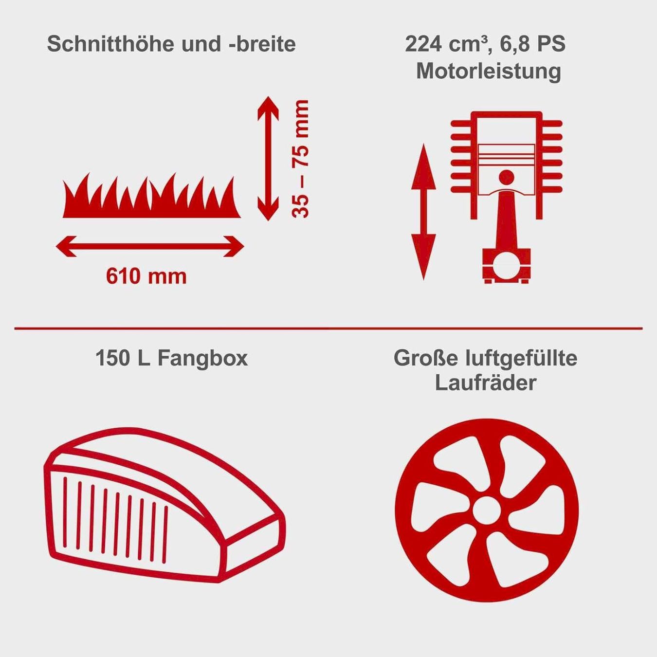 Scheppach Tagliaerba: Scheppach Benzin Rasentraktor MR224-61 – Nuovo e nell'imballaggio originale da Bottighofen venduto da zaap 6