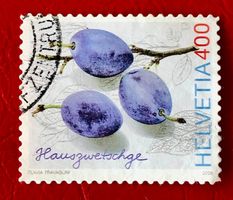  Nr.1213  Hauszwetschge GESTEMPELT    Siehe Original Fotos
