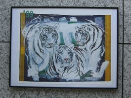 Weisse Tiger Bild, signiert Kalender 1993, gerahmt