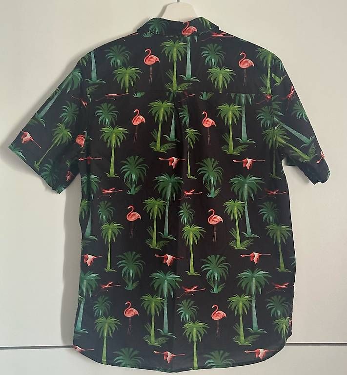 Camicie, T-shirt & Polo: Neuwertig! Kinder HEMD. Gr. 150 cm – Nuovo (secondo la descrizione) da Flawil venduto da mar_9chb 1