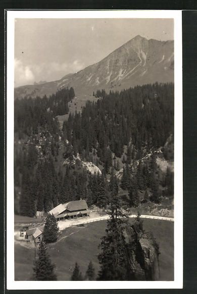 Cartes postales: AK Col du Pillon, Vue générale – D'occasion à Berlin par bartko-reher