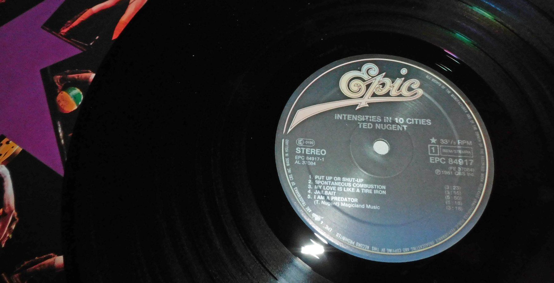 Dischi in vinile: Lp - 1981 Ted Nugent - Schallplatte   Lp – Usato da Sursee venduto da 76 4