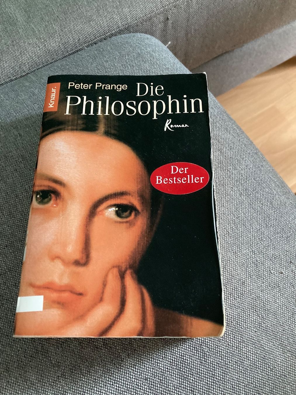 Libri: Die Philosophin – Usato da Wolfwil venduto da kreabea