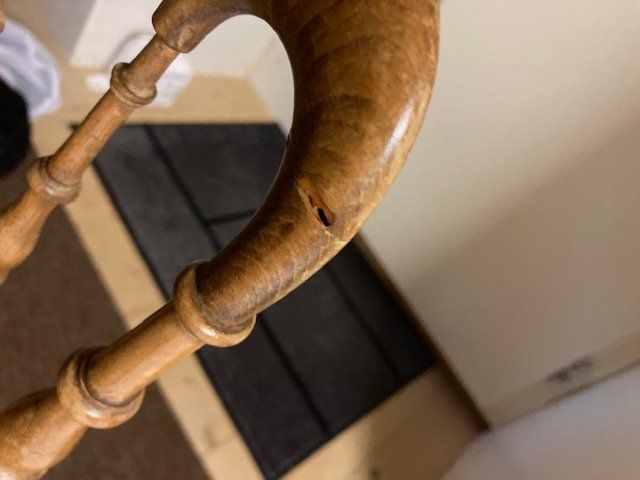 Sedie: Chiavari Stühle Original – Difettoso da Malters venduto da Boxer18 2