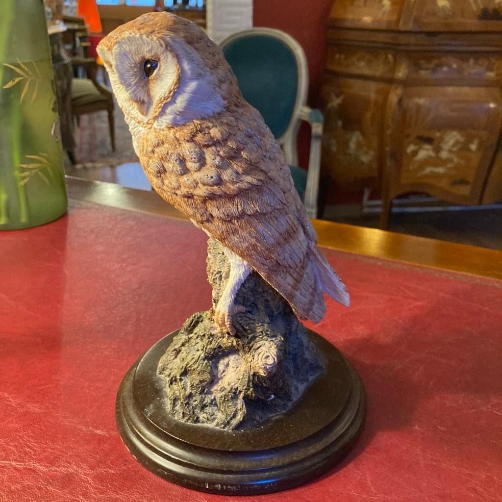Statuette: Chouette en résine – Nuovo (secondo la descrizione) da Genève venduto da Carlottina5 1