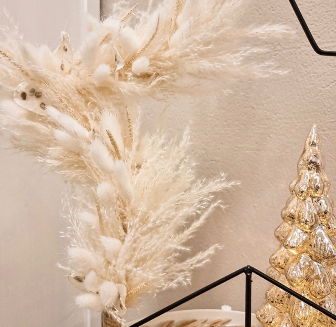 Piante & sementi: Stern mit Trockenblumen, NEU – Nuovo e nell'imballaggio originale da Lachen SZ venduto da Luxolino 3