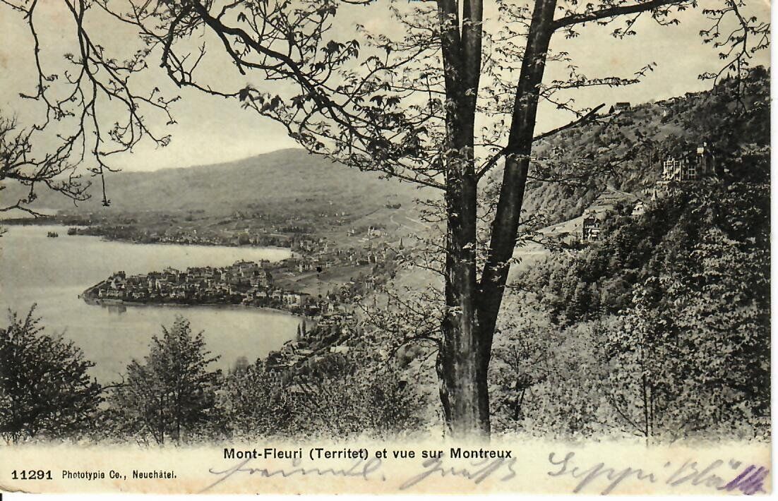 Ansichtskarten: Mont - Fleuri 1907 – Gebraucht aus Hochdorf von Ziegel-16