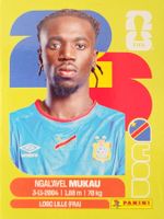 Panini FIFA World Cup COD 9