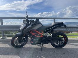 KTM Duke 125 | Frisch ab grossem Service | Nur 9500 km