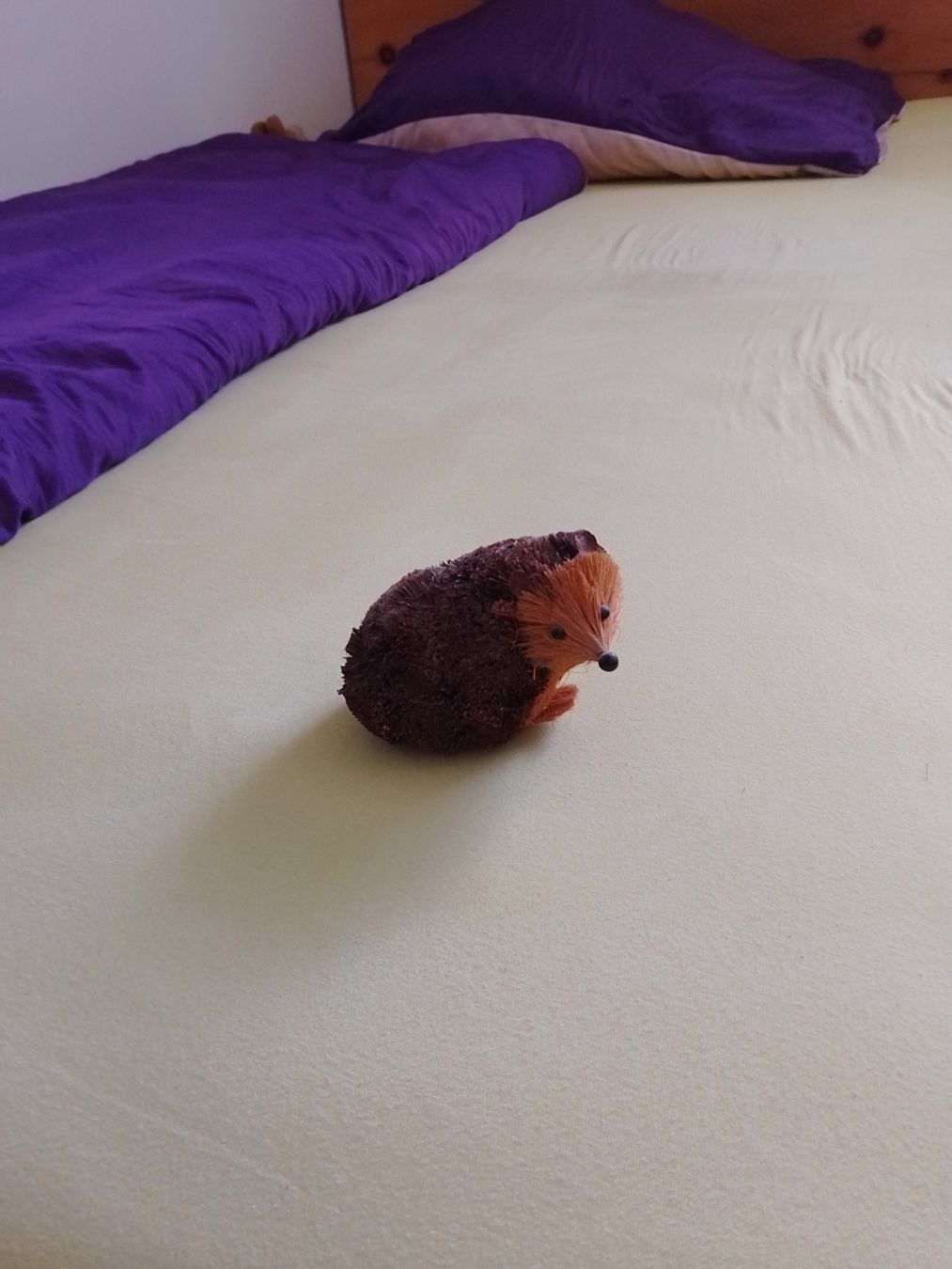 Figuren: Herziger Igel zum aufstellen – Gebraucht aus Weinfelden von PaterPio1968