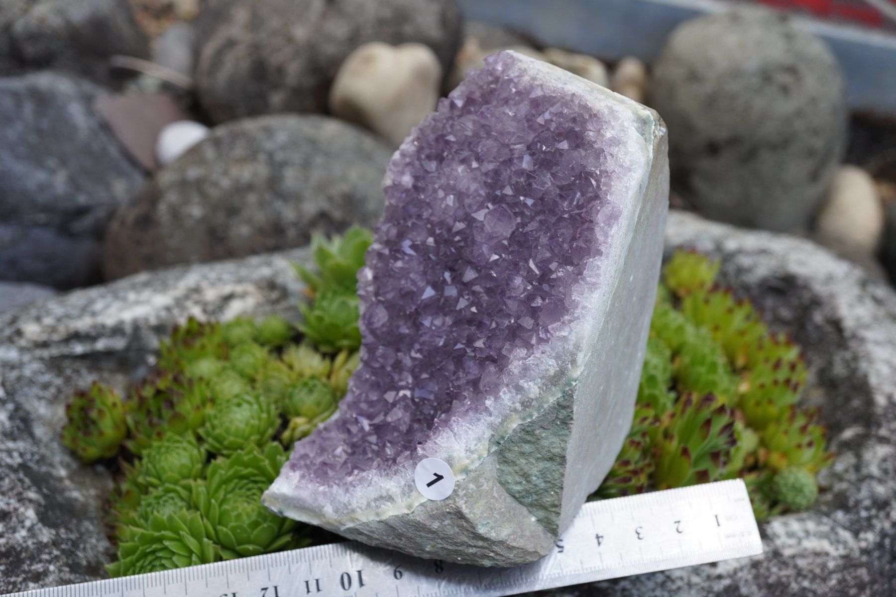 Minerali & Pietre curative: Amethyst Drusen Stück  ca 13cmx 8cm    no1 – Nuovo e nell'imballaggio originale da Eschenbach SG venduto da topstone 3