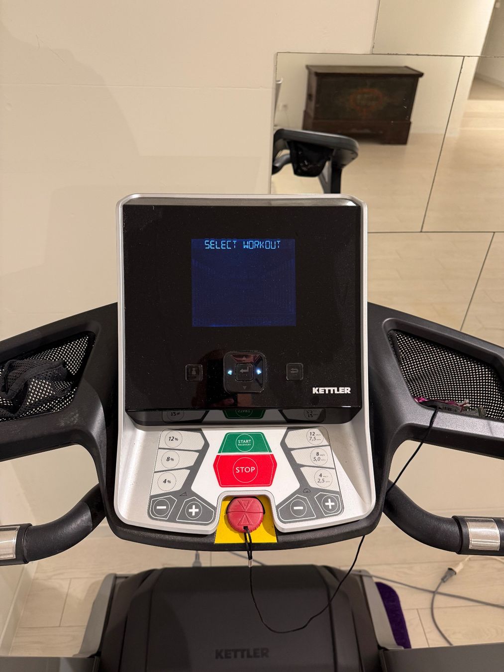 Kettler Hometrainer: Kettler Track Experience- Profi Laufband – Usato da Schlieren venduto da nowaya 2