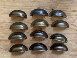 12 Muschelgriffe