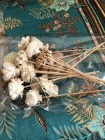 Exotic Plawanature Set mit 20 gemischten Sola-Holzblumen