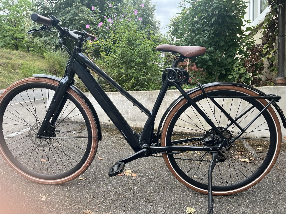 Ego Movement Biciclette: EGO Movment E. Bike – Usato da Zürich venduto da ala_h6yq 8