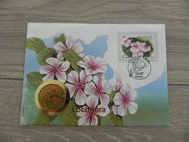 Münzbrief Kuba 1 Peso 1997 - Flora Del Caribe Lochnera rorea