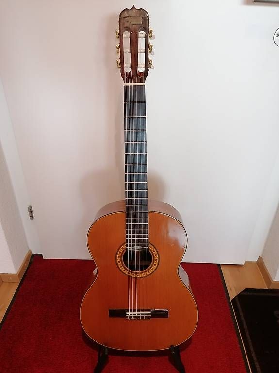 Aria Musikinstrumente: Akustische Konzert Gitarre Aria A554 – Gebraucht aus Muri AG von goodmood17