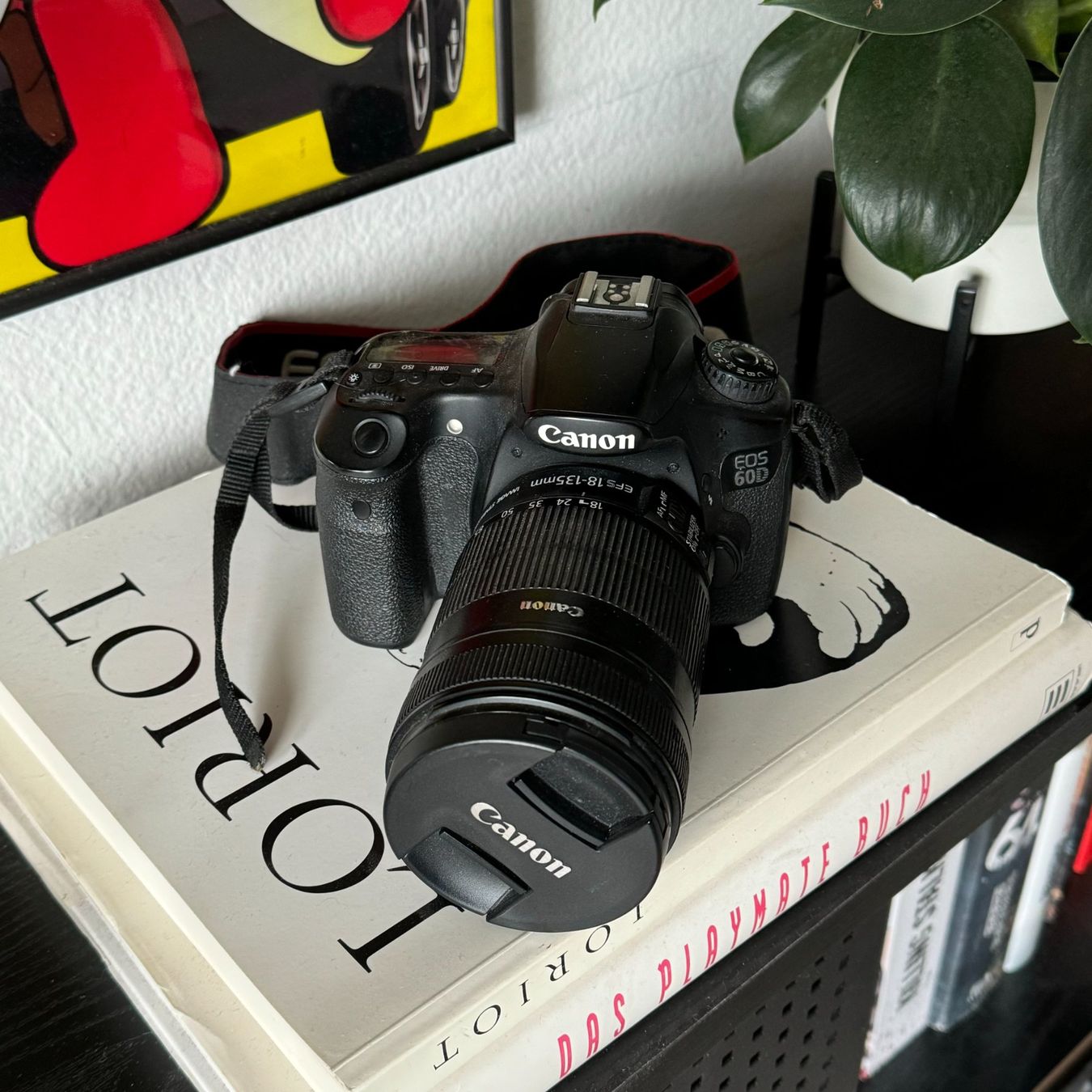 Canon Fotocamera: CANON EOS60D – Usato da Effretikon venduto da expiredrice 2