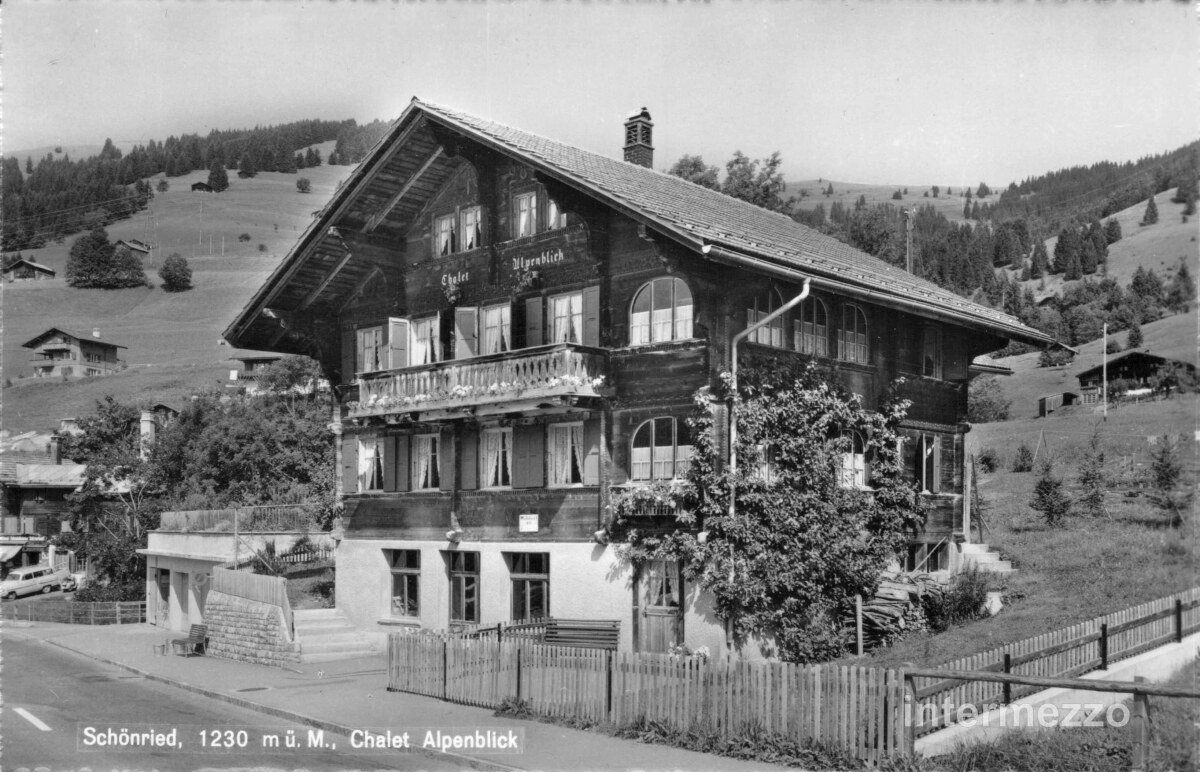 Cartoline postali: Schönried BE // Chalet Alpenblick // Sommer – Usato da Basel venduto da intermezzo12
