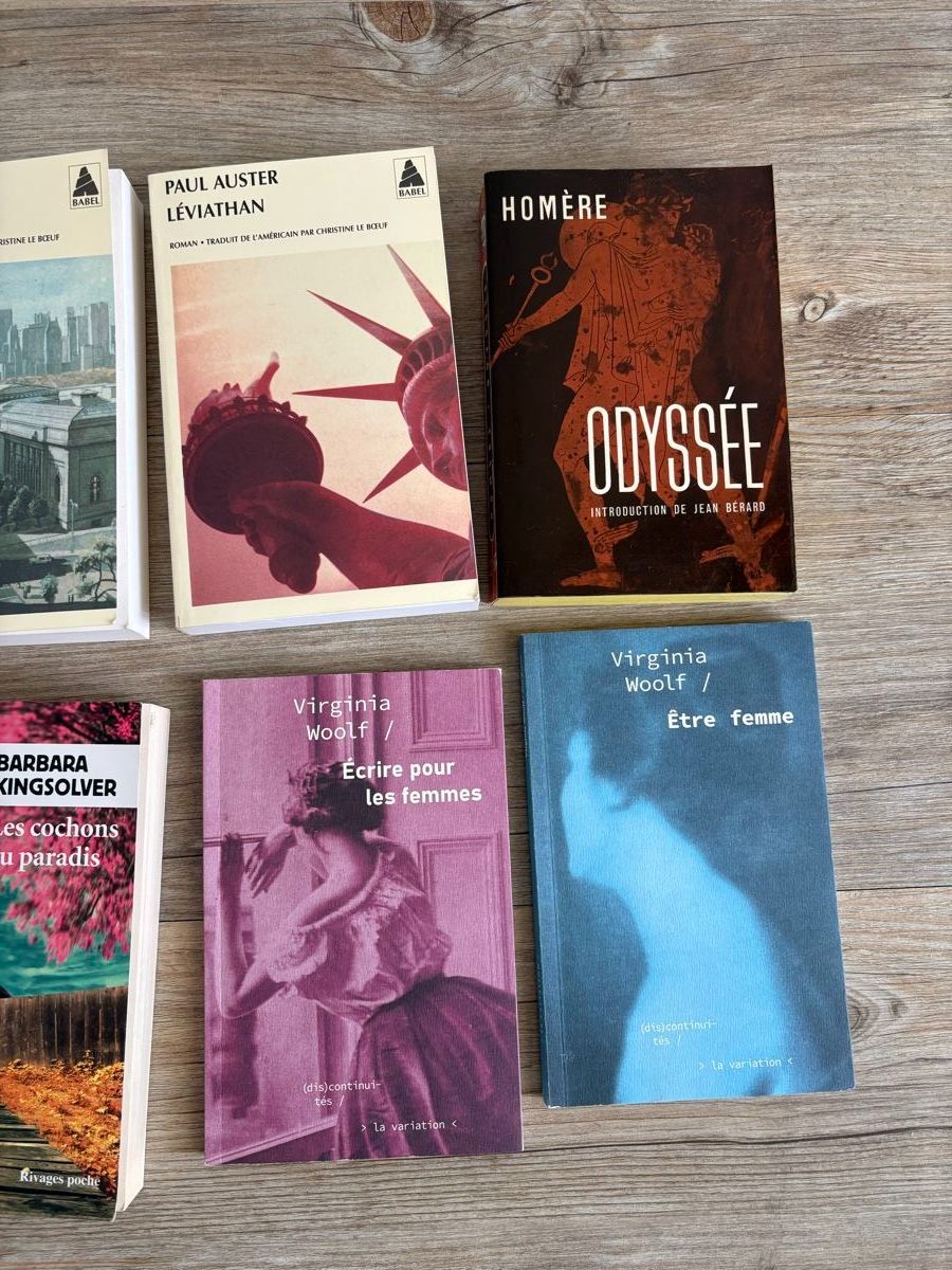 Libri: Lot de 9 livres : Auster - Woolf - Pavlowitch ... – Usato da Zweisimmen venduto da Domii 2