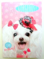 Geburtstag anniversaire carte Karte Pudel caniche hund #5065