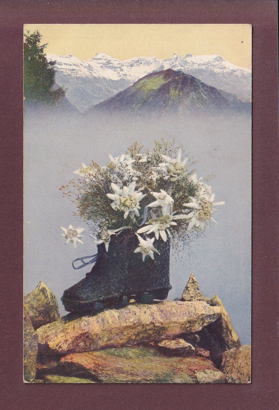 Cartoline postali: BERG / MONTAGNE - Edelweiss - 1920 – Usato da Pully venduto da nicecards
