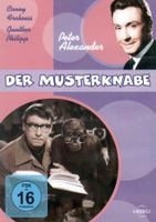 DVD: Der Musterknabe (mit: Peter Alexander, Conny Froboess)