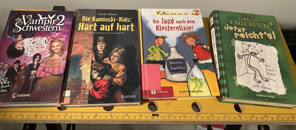 Libri: 4 Kinderbücher - Vampirschwestern, Gregs Tagebuch uvm. – Usato da Volketswil venduto da Ahot 2