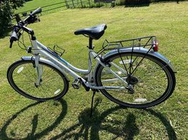 Velo Leopard Arrow Cat 11 28" Uni