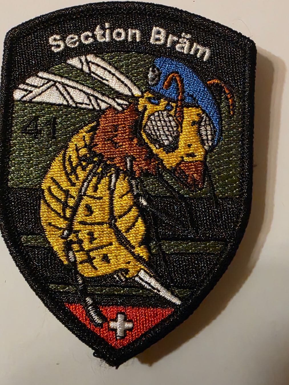 Schweizer Armee Plaketten & Abzeichen: Sanitat Abzeichen Badge RS 41 neu – Neu (gemäss Beschreibung) aus Nyon von freetoys08