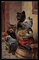 Arthur Thiele: drei niedliche Katzenmäd