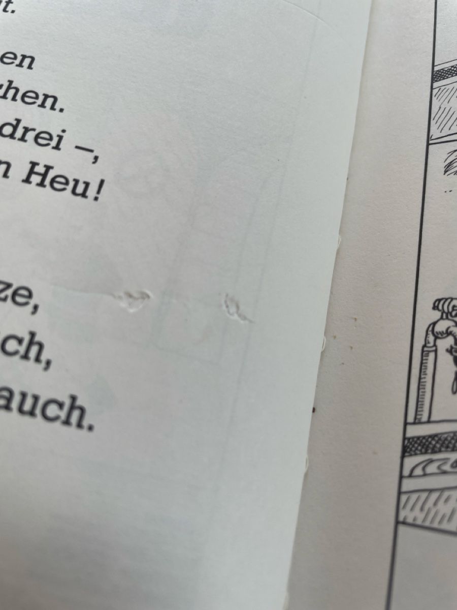 Libri: Globi bei der Feuerwehr 3. Auflage – Usato da Masein venduto da mosaba 2