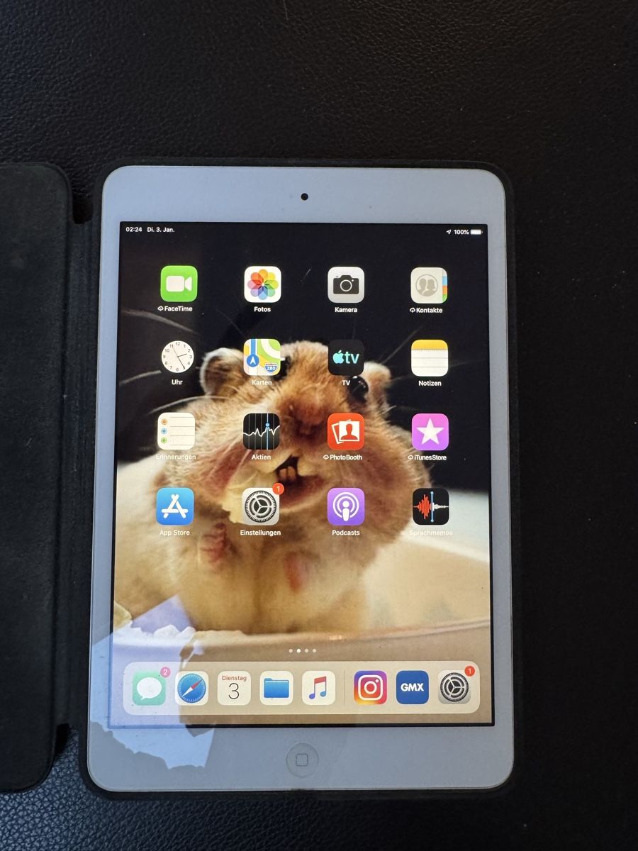 Apple Tablet PC: IPad mini 2 – Usato da Embrach venduto da Sartre