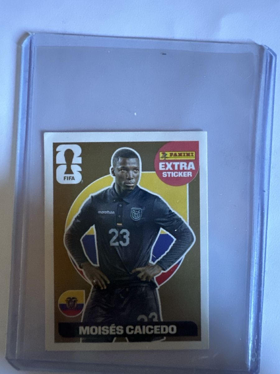Panini Carte collezionabili: Caicedo gold – Nuovo (secondo la descrizione) da Marly venduto da ale_9j5m