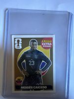 Caicedo gold