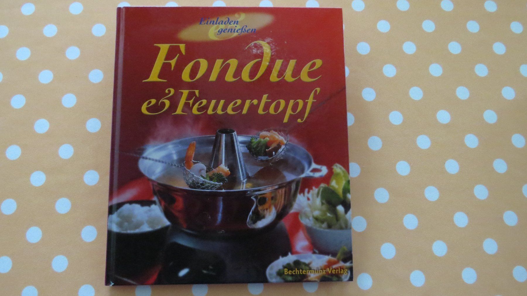 Libri: Fondue & Feuertopf, Bechtermünz Verlag – Nuovo (secondo la descrizione) da Glattbrugg venduto da Radio98