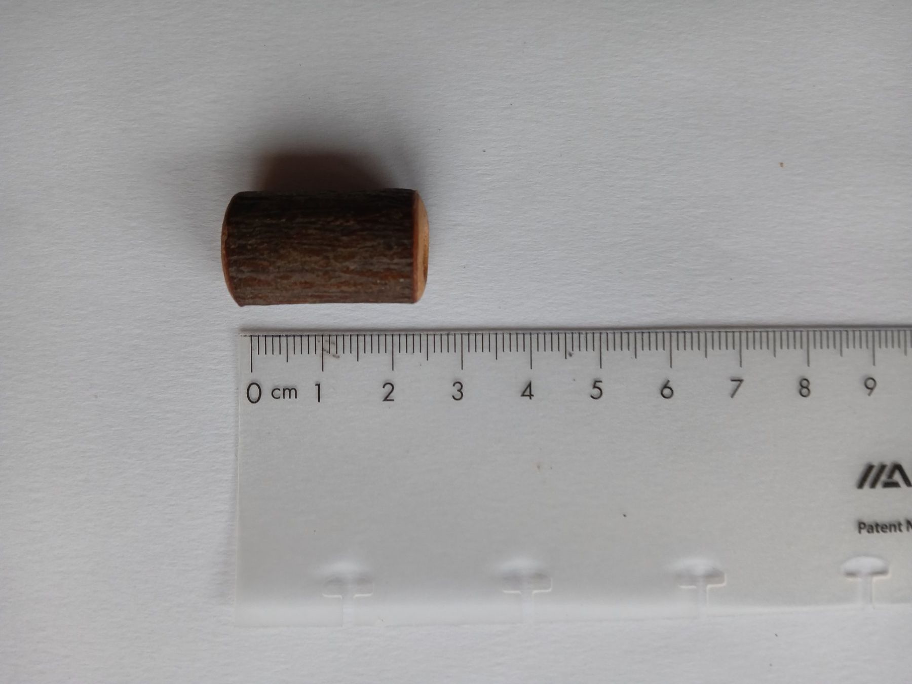Accessori per capelli: Miniatur-Baumstamm-Perle Dreadlockschmuck Holz Dreadperle – Nuovo (secondo la descrizione) da Bremgarten AG venduto da Finoae