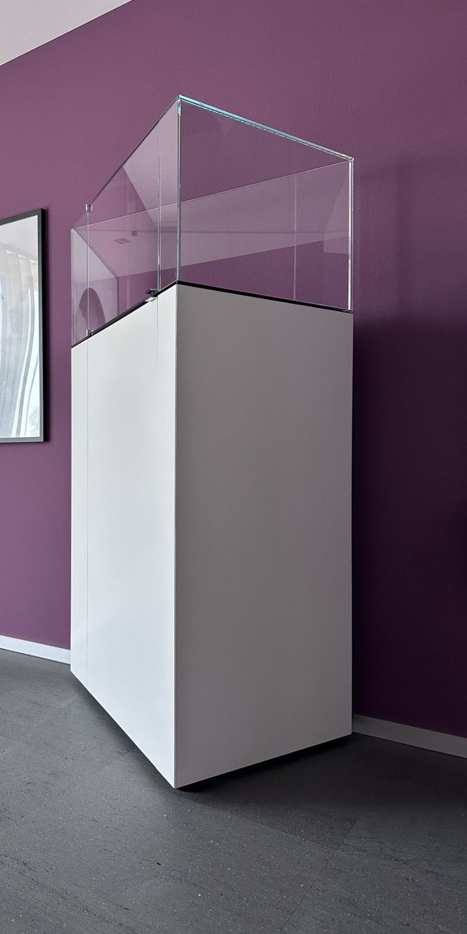 Vitrinen: Einzelvitrine "Monolit" von Team by Wellis – Gebraucht aus Meikirch von tes_y6sc 1