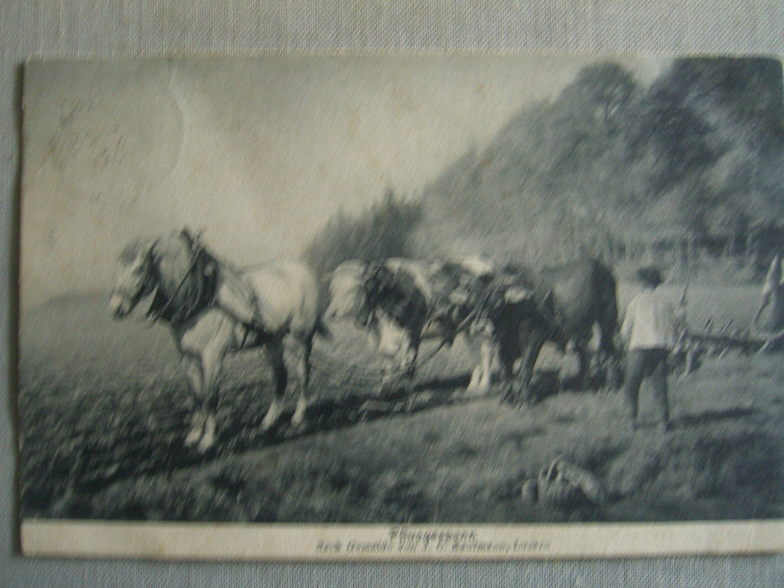 Cartoline postali: Pfluggespann – Usato da Bischofszell venduto da Joachim-115