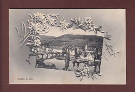 STEIN AM RHEIN - Edelweiss - 1908