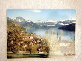 AK, Weggis mit Alpen und Panoramastrasse