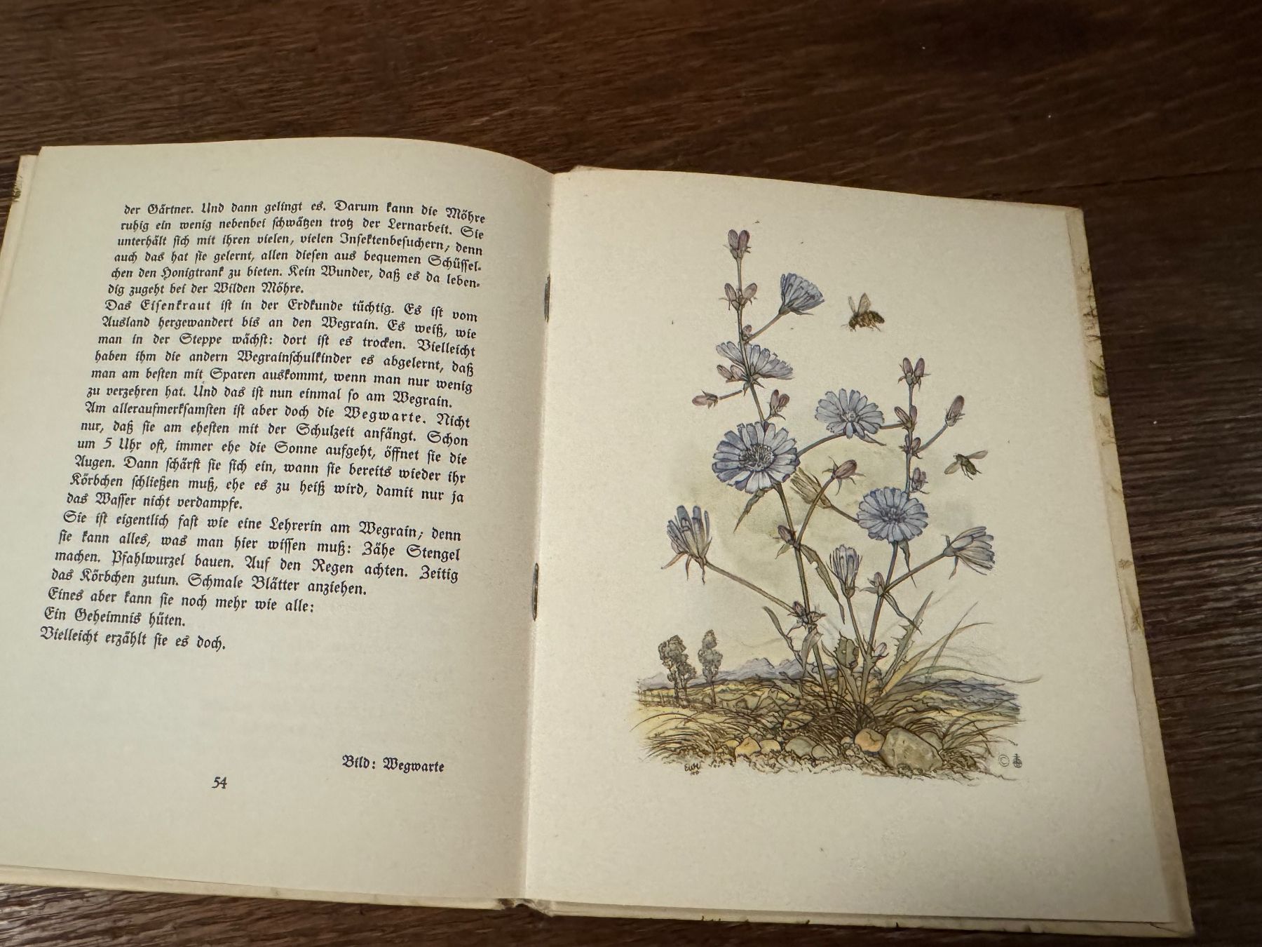 Bücher: Buch Die vom Wegrain Marga Müller E. Wenz-Dietor 1940 – Gebraucht aus Rifferswil von reb_jpx2 5