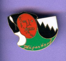 FASNACHT Hägendorf