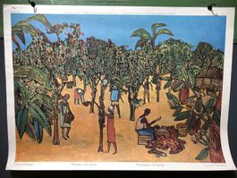 Vintage Schulwandbild KAKAOPLANTAGE, Georges Item #G23 LxB: