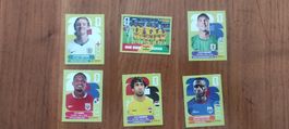 6 Panini Sticker 