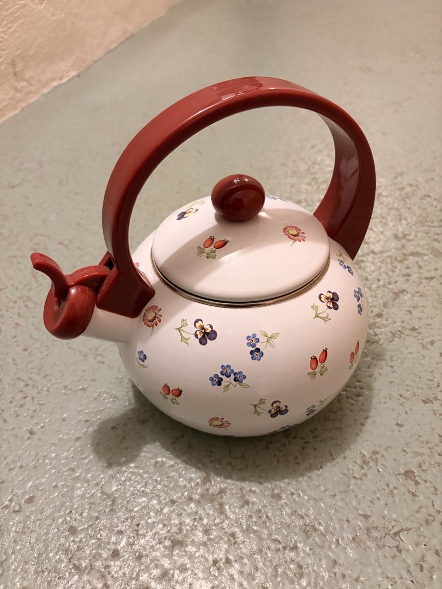 Bollitori: Villeroy & Boch Teekocher – Usato da Aarau venduto da Dotti3