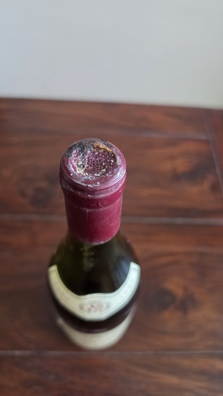 Vino: Für Liebhaber / Sammler  – Nuovo (secondo la descrizione) da Kloten venduto da rene271163 3