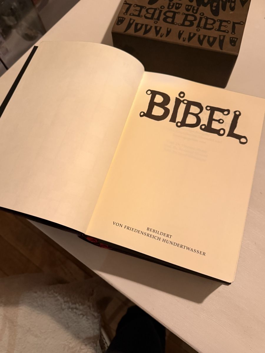 Libri: Bibel Hundertwasser 1995 – Usato da Lobsigen venduto da Ailujailuj 1